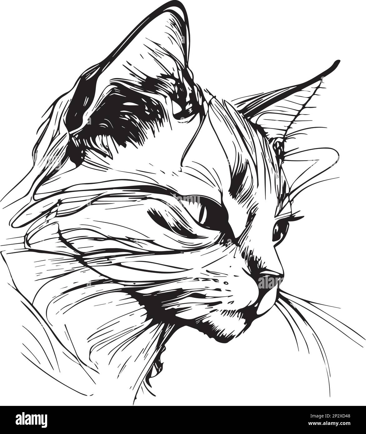 Illustration vectorielle dessinée à la main d'une tête de chat Illustration de Vecteur