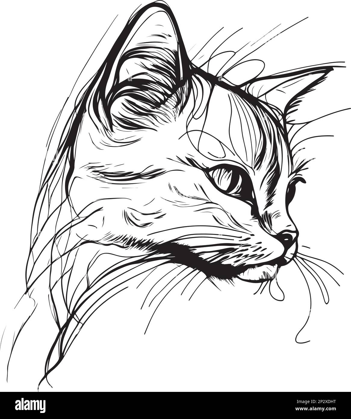 Illustration vectorielle dessinée à la main d'une tête de chat Illustration de Vecteur