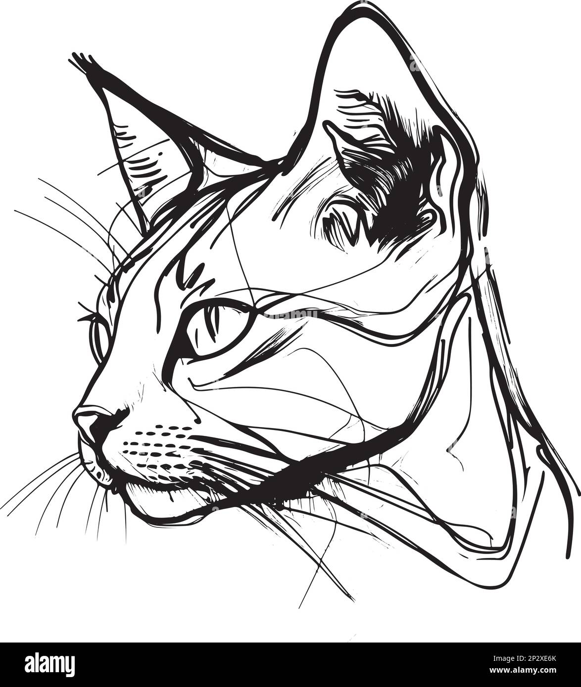 Illustration vectorielle dessinée à la main d'une tête de chat Illustration de Vecteur