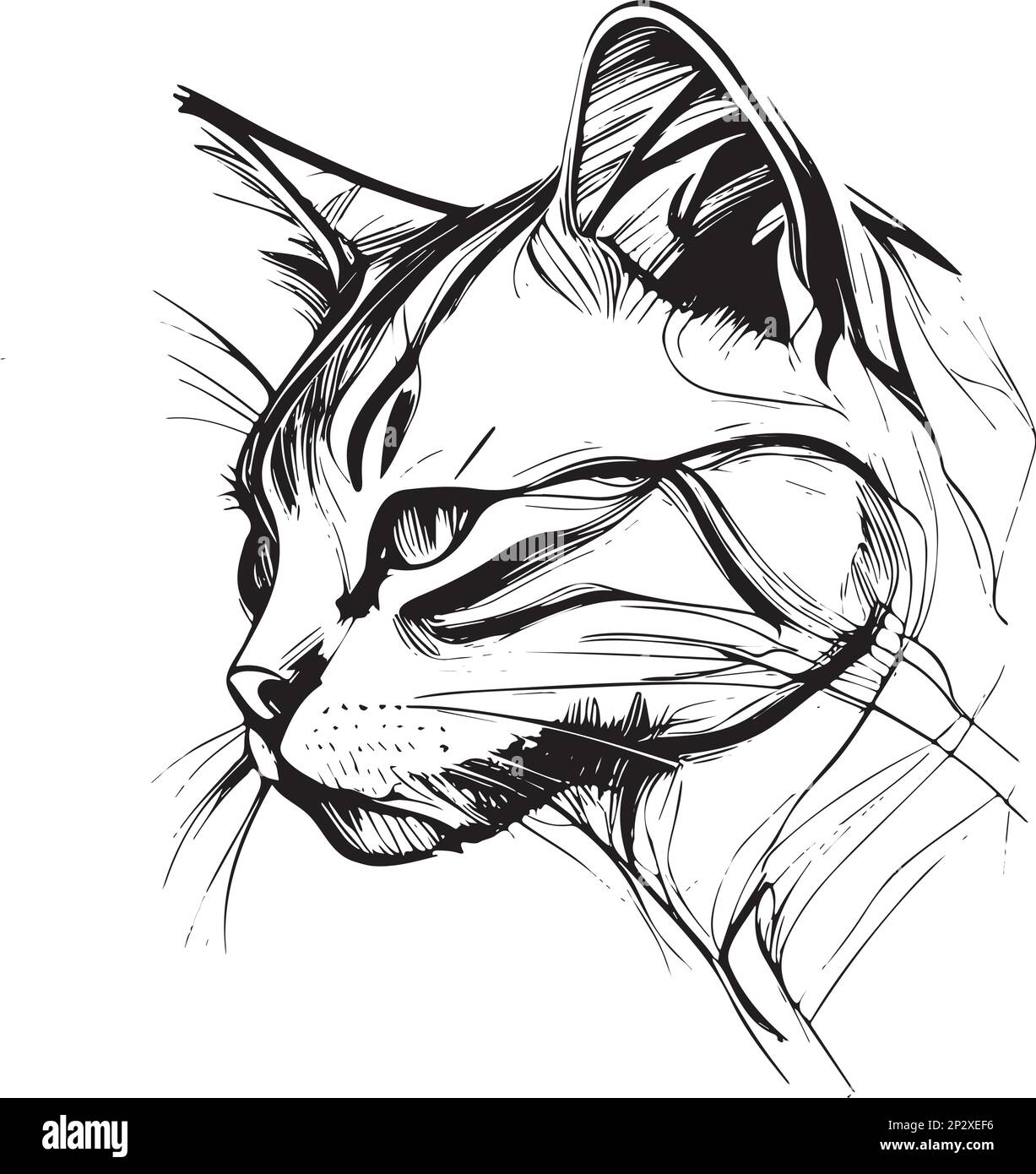 Illustration vectorielle dessinée à la main d'une tête de chat Illustration de Vecteur