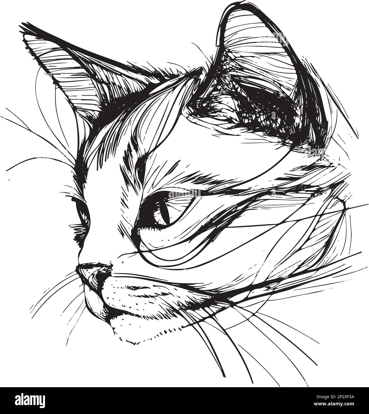 Illustration vectorielle dessinée à la main d'une tête de chat Illustration de Vecteur