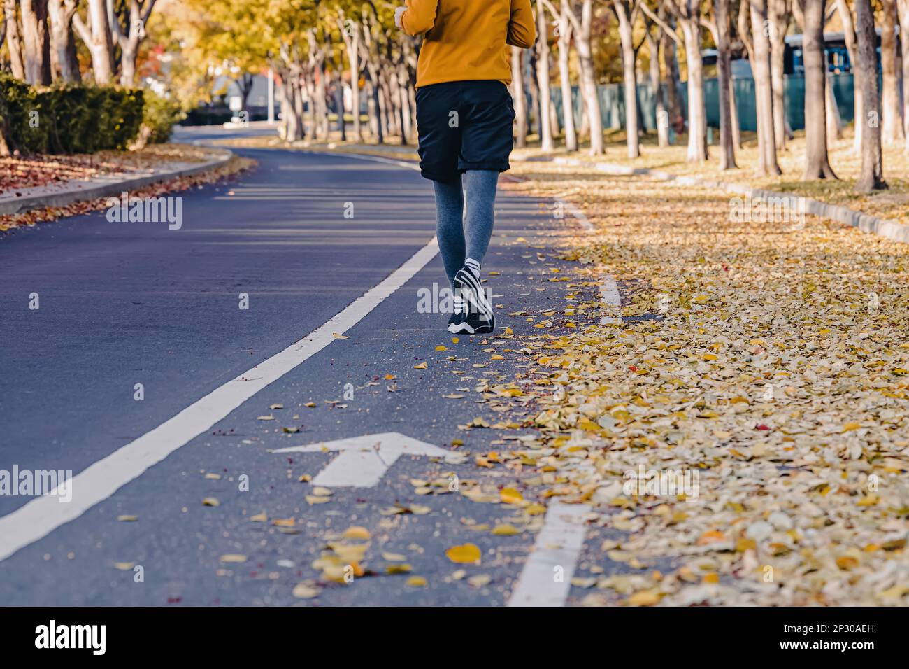 Pieds d'un homme méconnaissable qui fait du jogging à l'extérieur à l'automne. Feuilles jaunes dans la rue, en automne Banque D'Images