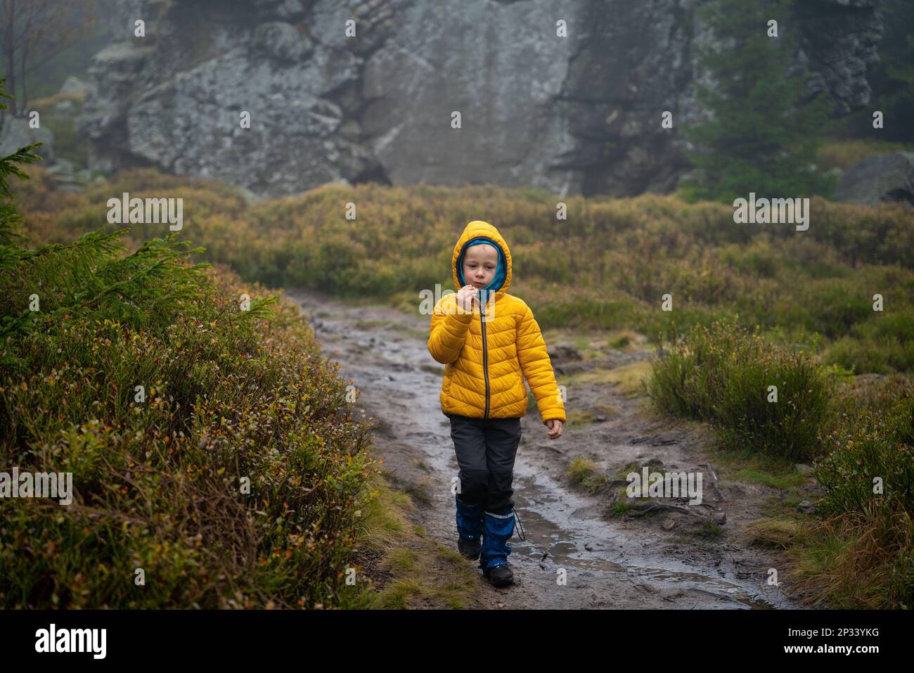 L'enfant part sur un sentier de montagne et mange un sandwich par temps frais d'automne. Montagnes polonaises Banque D'Images