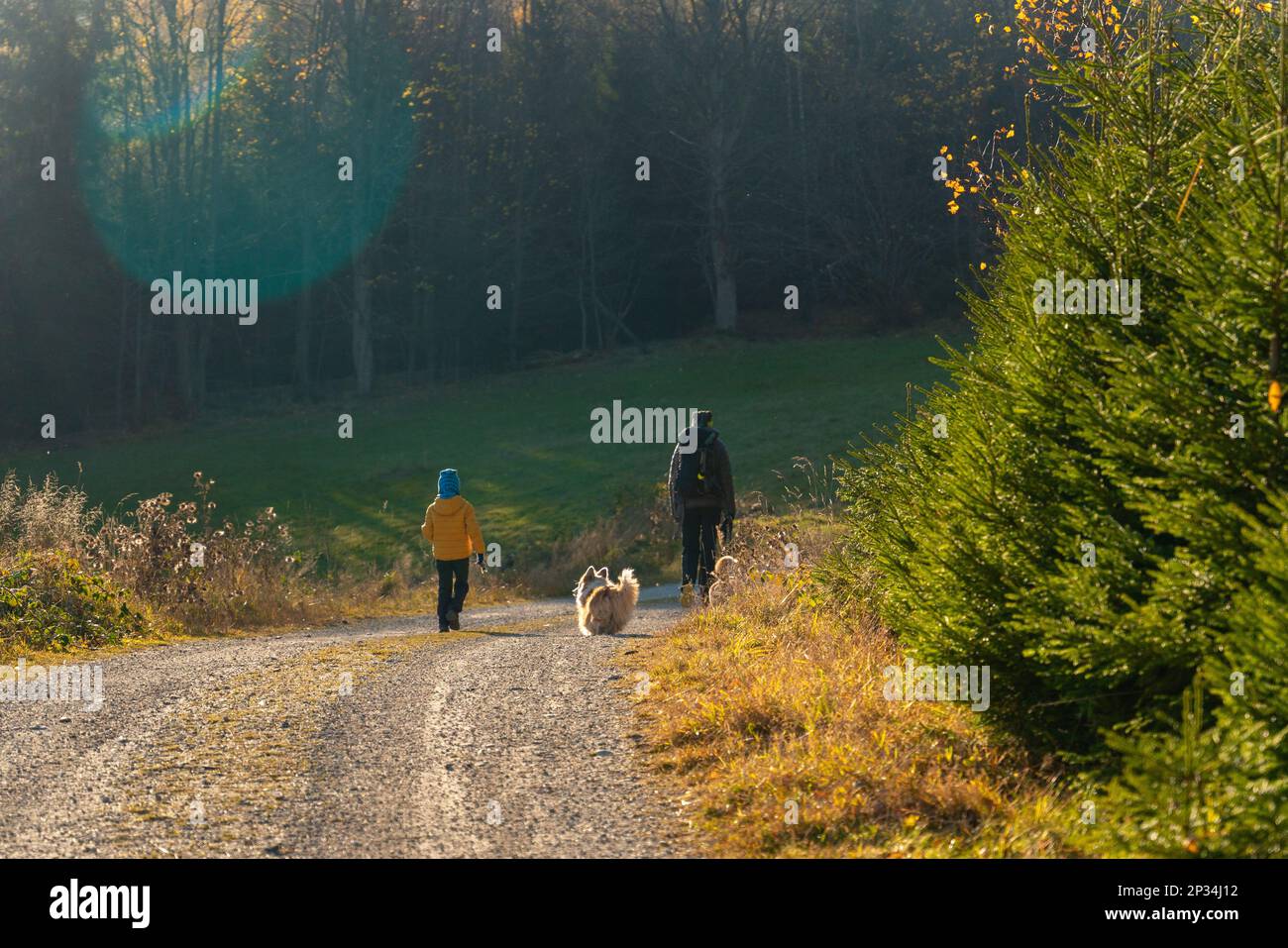 Une mère avec un enfant et un chien marchent le long du sentier de randonnée en montagne. La famille passe du temps. Montagnes polonaises Banque D'Images