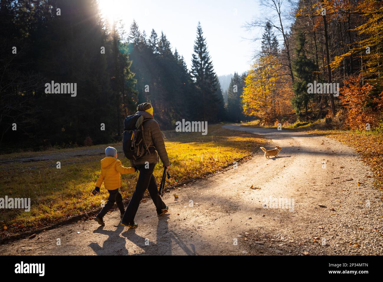 Une mère avec un enfant et un chien marchent le long du sentier de randonnée en montagne. La famille passe du temps. Montagnes polonaises Banque D'Images