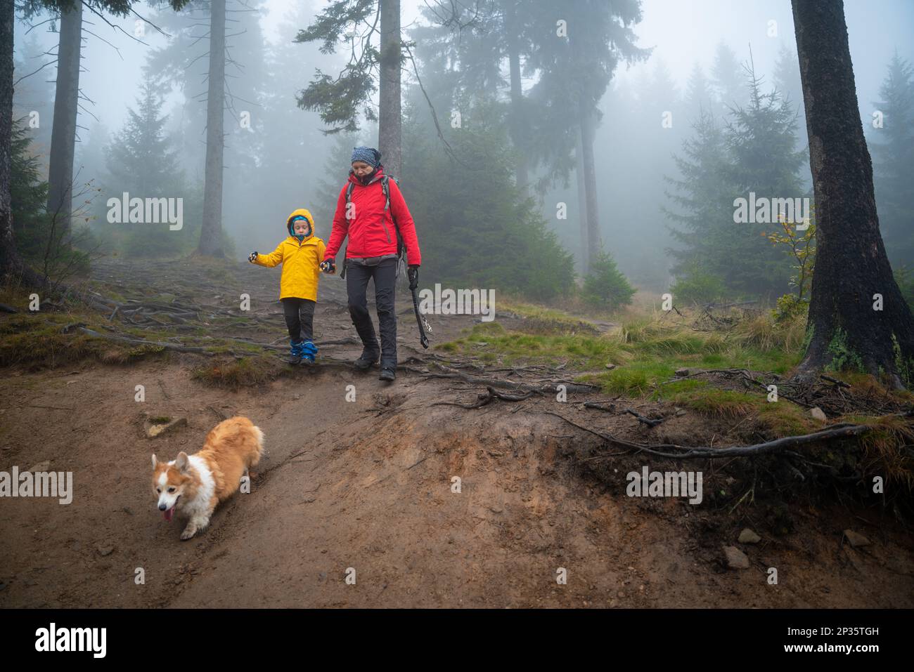 Maman et son petit fils vont sur un sentier de montagne par temps humide d'automne. Ils sont accompagnés d'un chien. Montagnes polonaises Banque D'Images