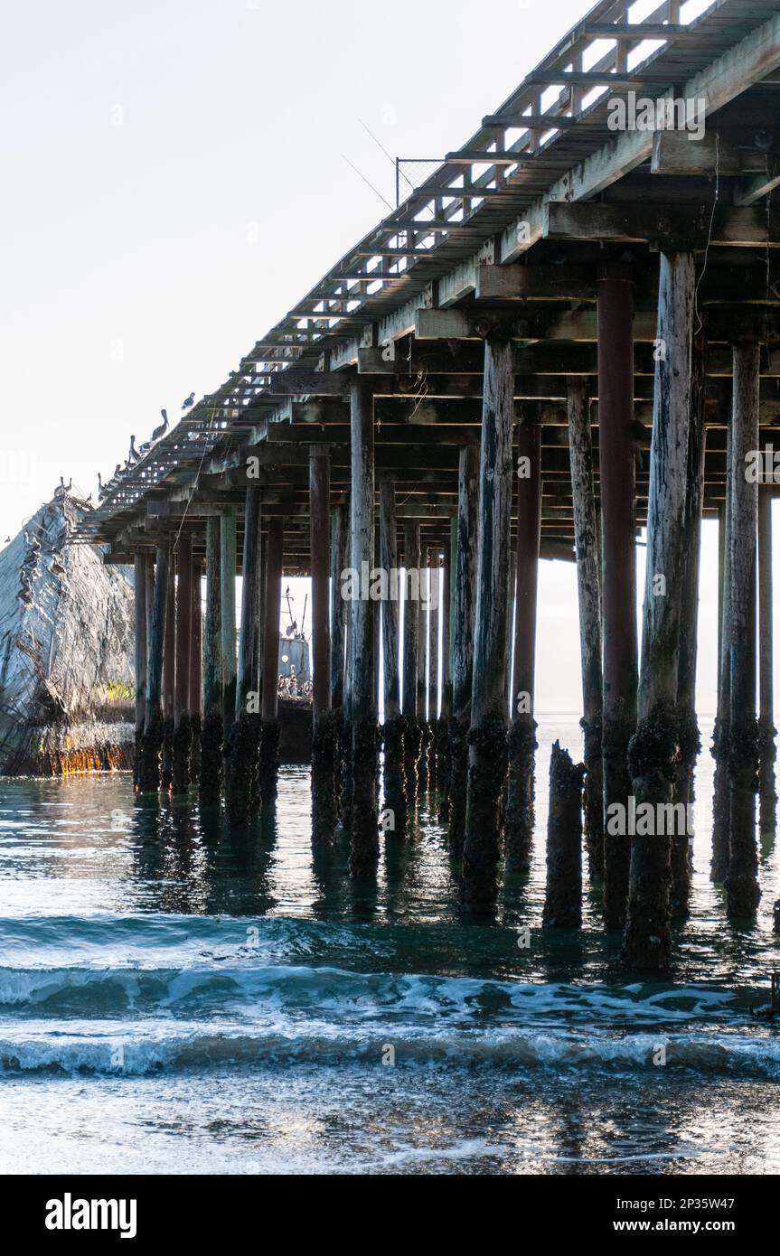 Plan extérieur de la structure de support en bois qui porte le quai Sea Cliff près d'Aptos, Californie. Banque D'Images