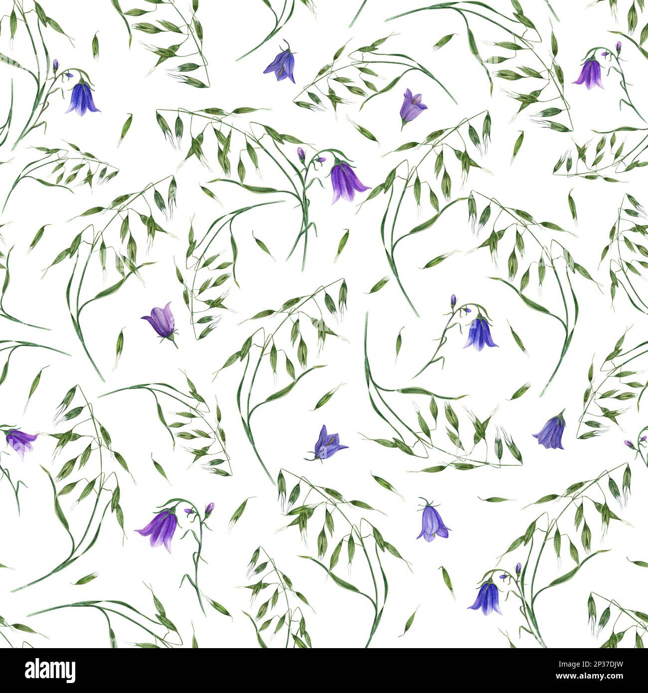 Motif aquarelle sans couture de campanula, avoine sauvage isolée sur fond blanc. Pour carte postale, poster, scrapbooking, invitations, arrière-plan, imprime Banque D'Images