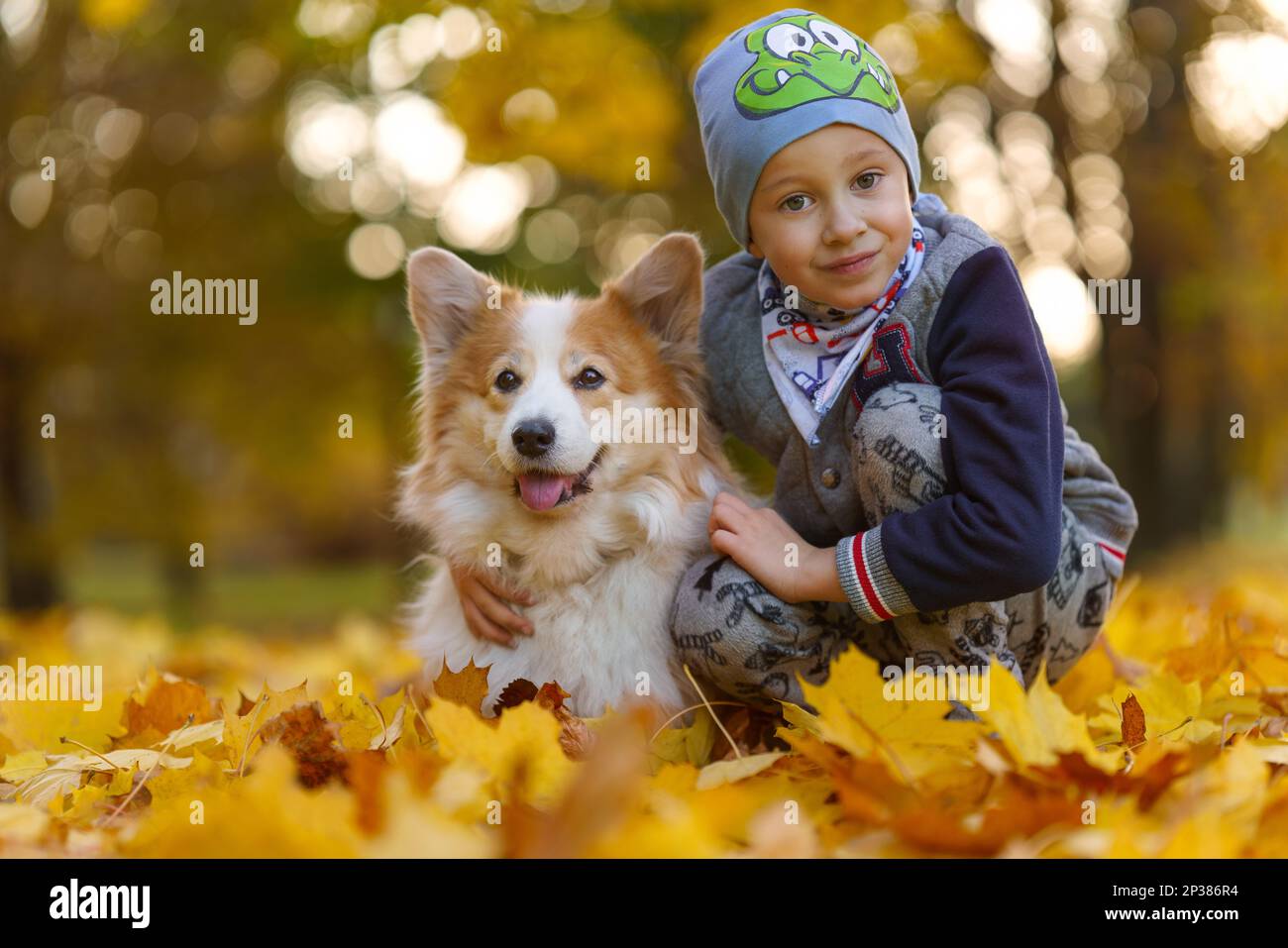 Amis, bébé et chien sont assis ensemble dans de belles feuilles d'or. Automne dans le parc. Un garçon de sept ans Banque D'Images