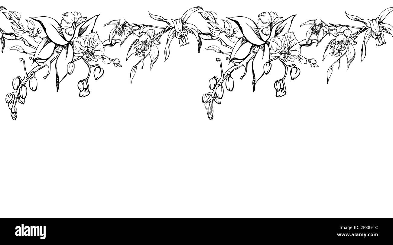 Fleurs et branches d'orchidées à encre vectorielle dessinées à la main, monochrome, contour détaillé. Bannière horizontale sans couture. Isolé sur fond blanc. Conception pour Illustration de Vecteur