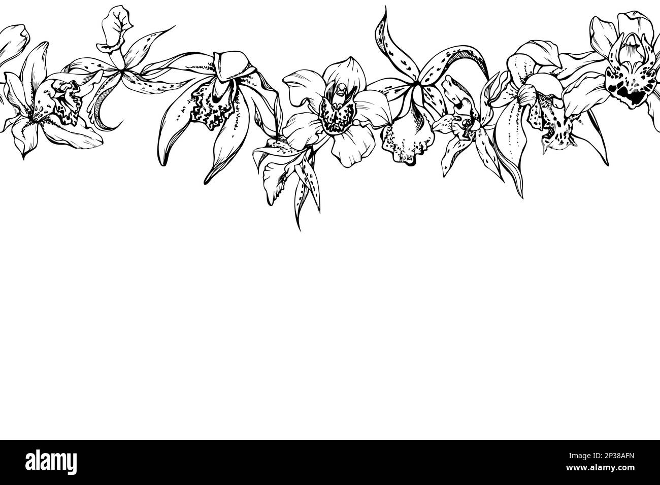 Fleurs et branches d'orchidées à encre vectorielle dessinées à la main, monochrome, contour détaillé. Bannière horizontale sans couture. Isolé sur fond blanc. Conception pour Illustration de Vecteur