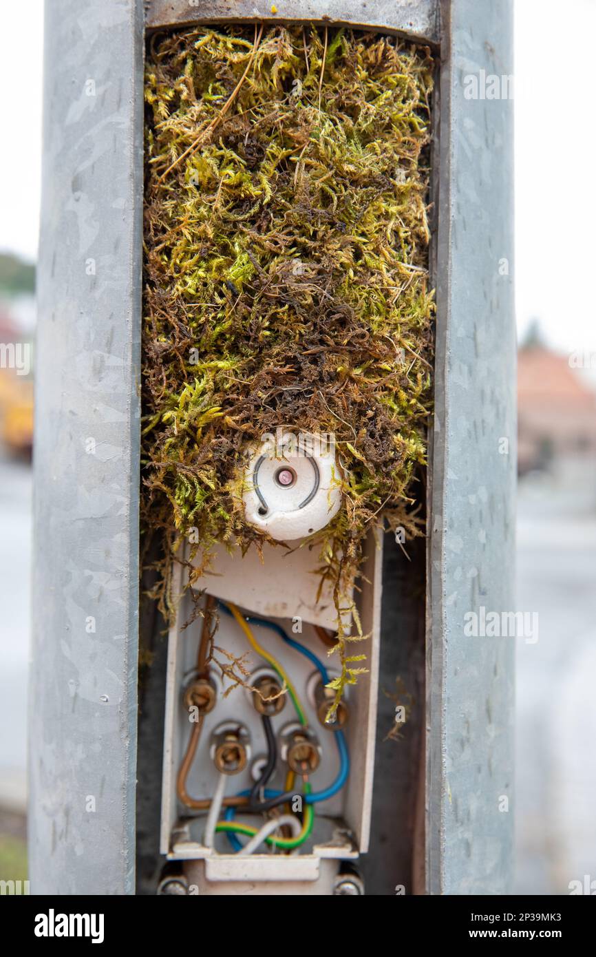 Mastsicherungssockel verschmutzte elektrische Anlage Banque D'Images