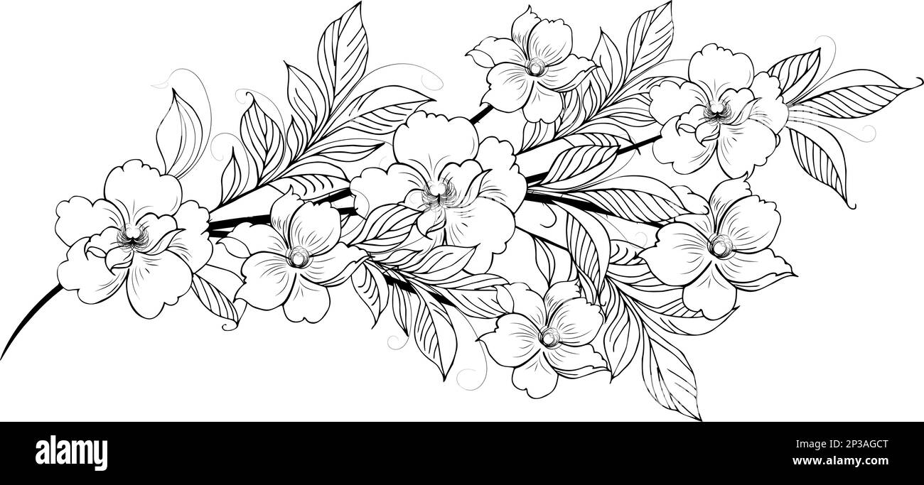 Arrière-plan floral doux des branches et boutons de fleurs, arrangement de fleurs. Dessin à la main. Pour un décor stylisé, des invitations, des cartes, des affiches, des prospectus Illustration de Vecteur
