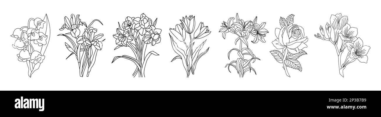 Jeu d'illustrations vectorielles florales. Illustration de Vecteur