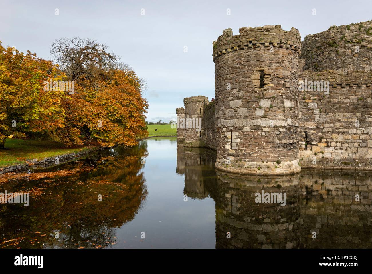 Château de Beaumaris et douve en automne. Anglesey, pays de Galles du Nord. Banque D'Images
