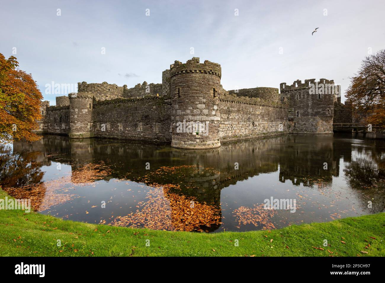 Château de Beaumaris et douve en automne. Anglesey, pays de Galles du Nord. Banque D'Images