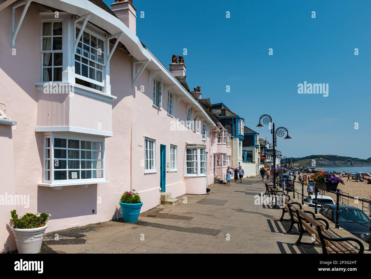 Cottages roses historiques en bord de mer, Marine Parade, Lyme Regis, Dorset, Angleterre, ROYAUME-UNI Banque D'Images