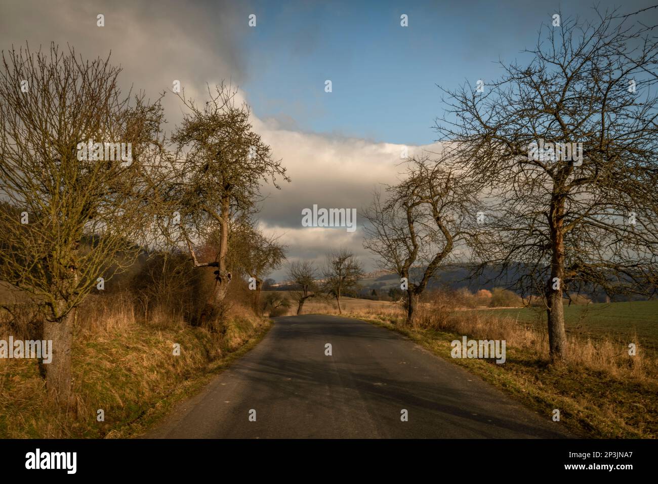 Paysage près de Semnicka rock en hiver froid matin frais Banque D'Images