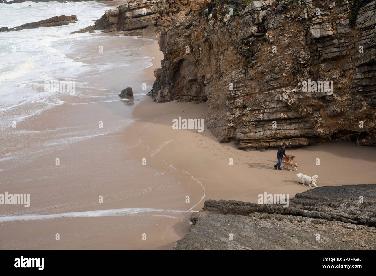 Randonnée pour chiens sur la plage de Praia da Arriba sur l'océan Atlantique, Areia, près de Cascais, Parc naturel de Sintra Cascais, région de Lisbonne, Portugal, Europe Banque D'Images