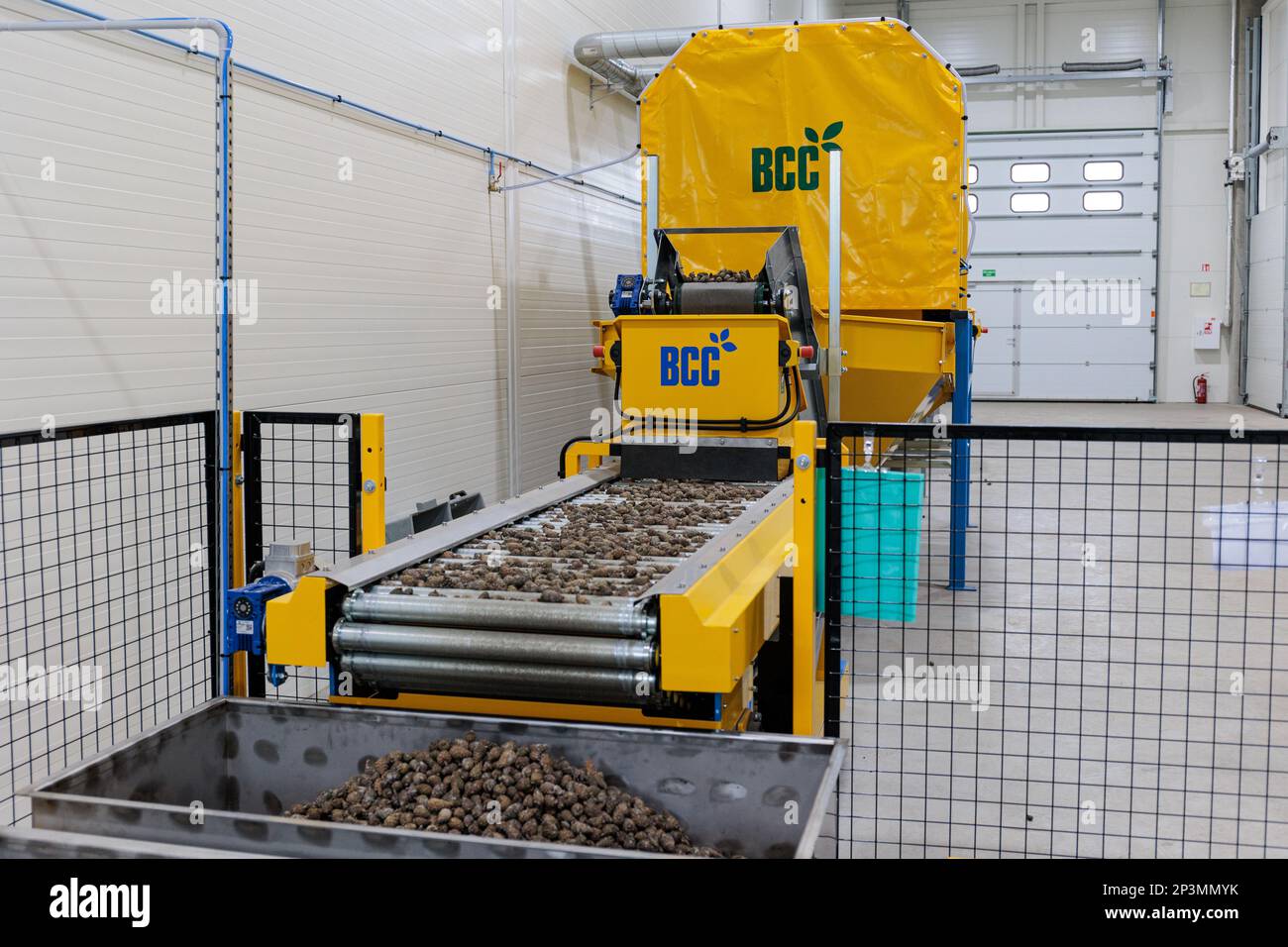 Kaunas, Lituanie - 2023 3 mars : système de production de pépinières de BCC. Centre de semences forestières. Ligne de remplissage et d'ensemencement automatique qui aide à restaurer les fores Banque D'Images