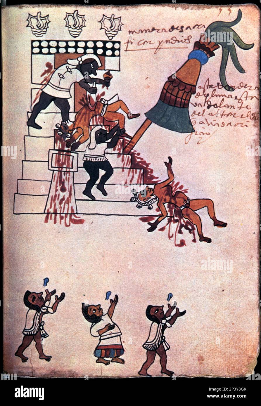 Codex de Tudela, 16th siècle. Scène d'un sacrifice indien. Au sommet d'un temple, un prêtre tire le cœur d'un Indien tandis qu'un voleur le tient par un pied. Le temple est couronné d'acroteries du signe teccizti ou escargot de mer. Banque D'Images