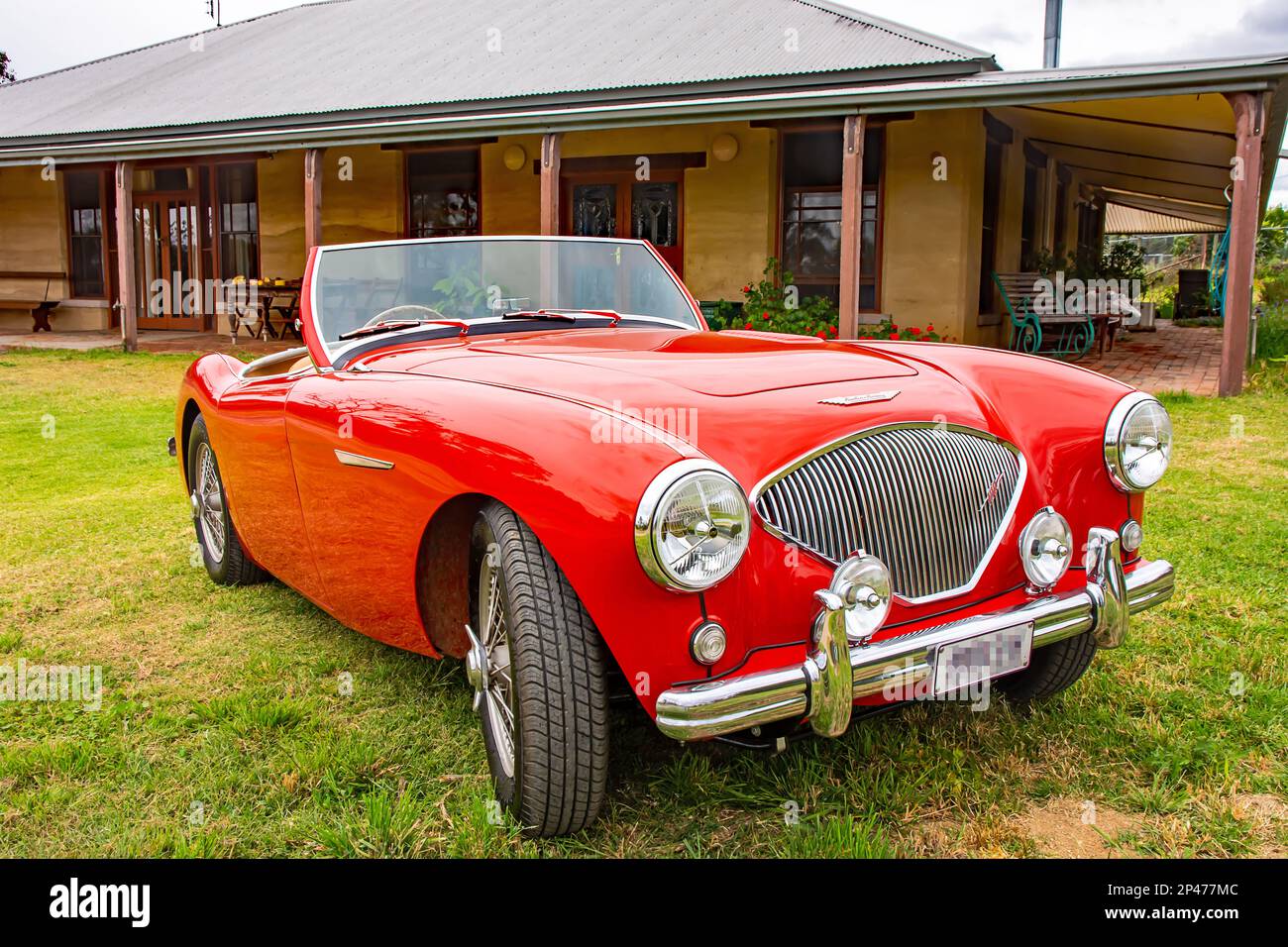 1952 voiture de sport Red Austin Healey 100. Banque D'Images