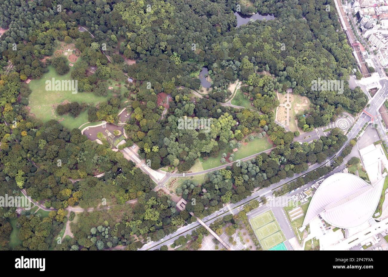 A photo shows the Yoyogi Park which is closed down after the Dengue virus comfirmed from tyger mosquitoes caught in the park on Sept. 4, 2014. Accordting to the Ministry of Health, Labor and Welfare, 34 people have been infected. ( The Yomiuri Shimbun via AP Images ) Banque D'Images
