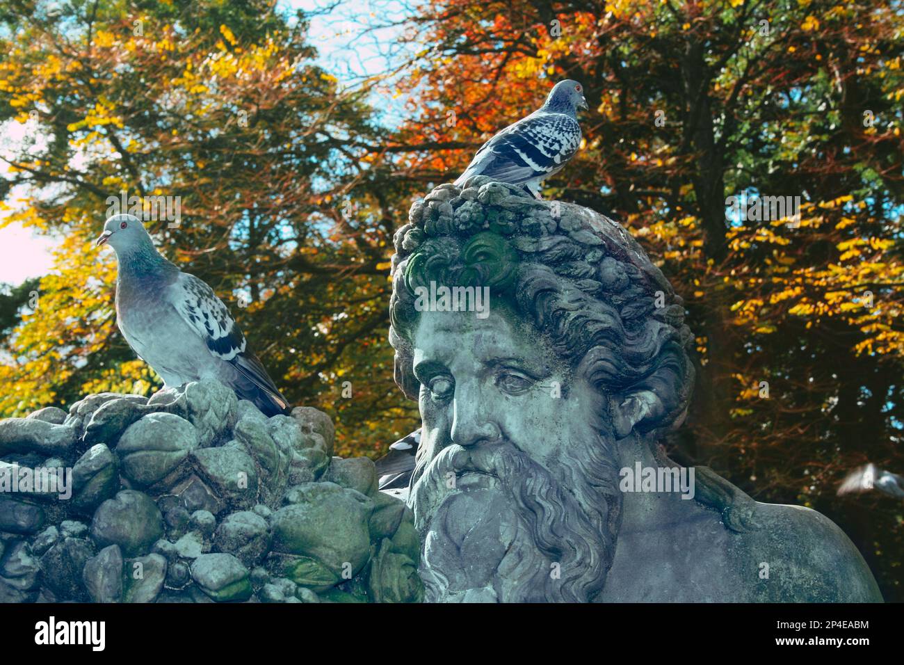 Pigeon féral sur la tête de la statue en pierre de style ancien de l'homme barbu dans le parc public Banque D'Images