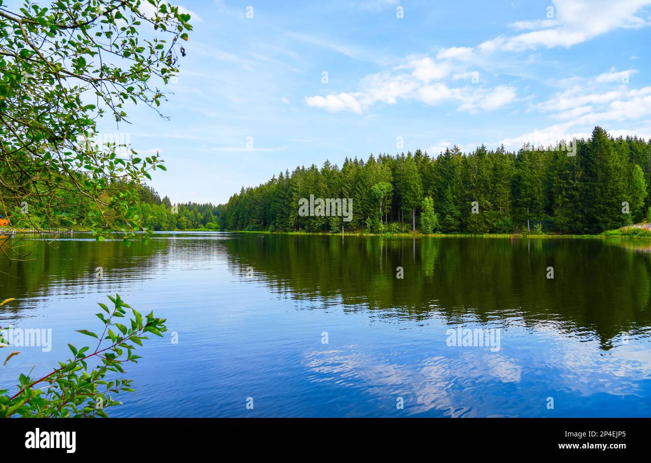 Kuttelbacher Teich avec la nature environnante près de Goslar, dans le quartier de Hahnenklee-Bockswinese. Paysage dans les montagnes de Harz avec une baignade p Banque D'Images