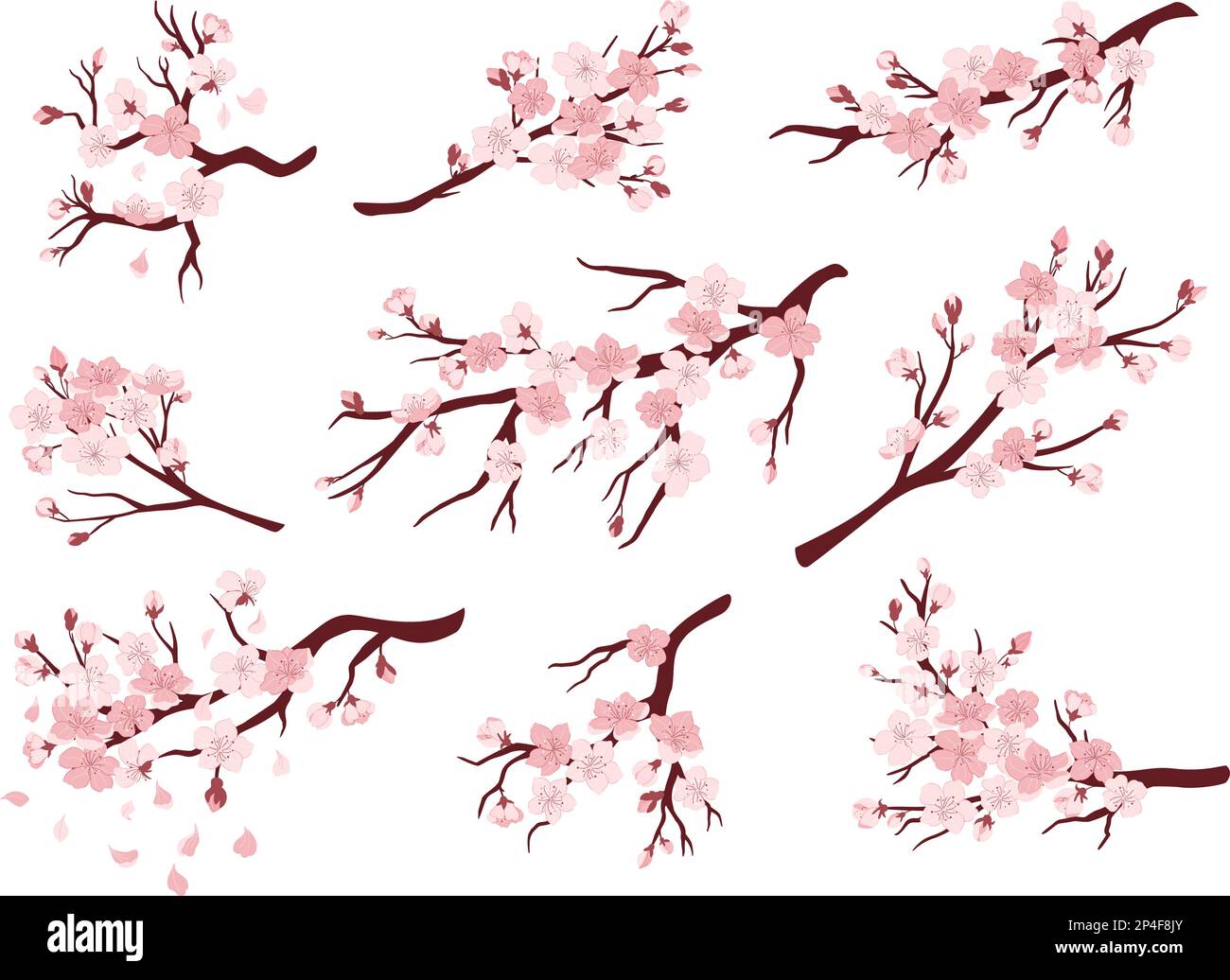 Branches de cerisiers en fleurs. Arbres japonais fleuris, sakura fleurs printemps décor vector jeu d'illustrations Illustration de Vecteur