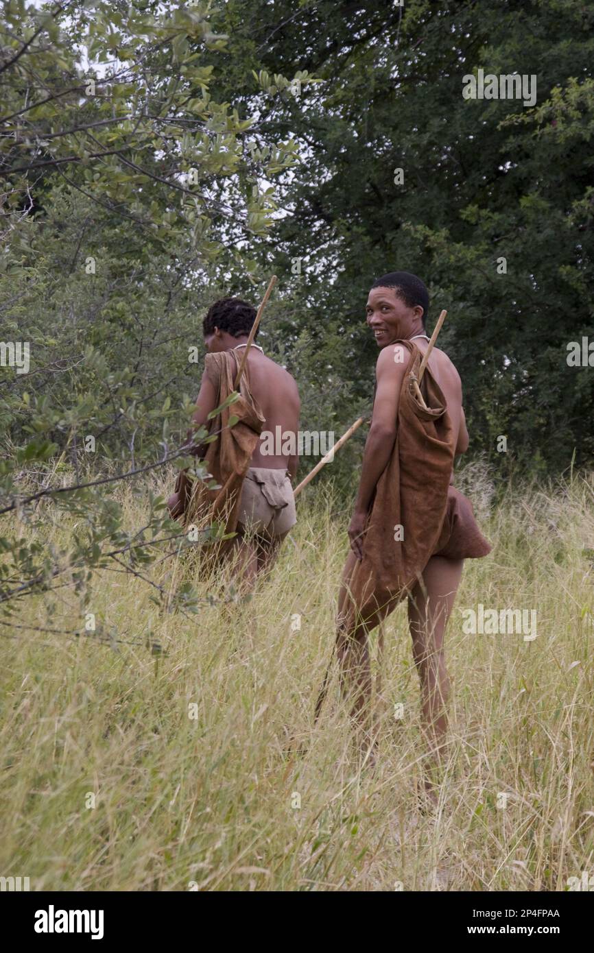 Les Bushmen sont les plus anciens habitants de l'Afrique australe, errant dans la brousse du Botswana Banque D'Images