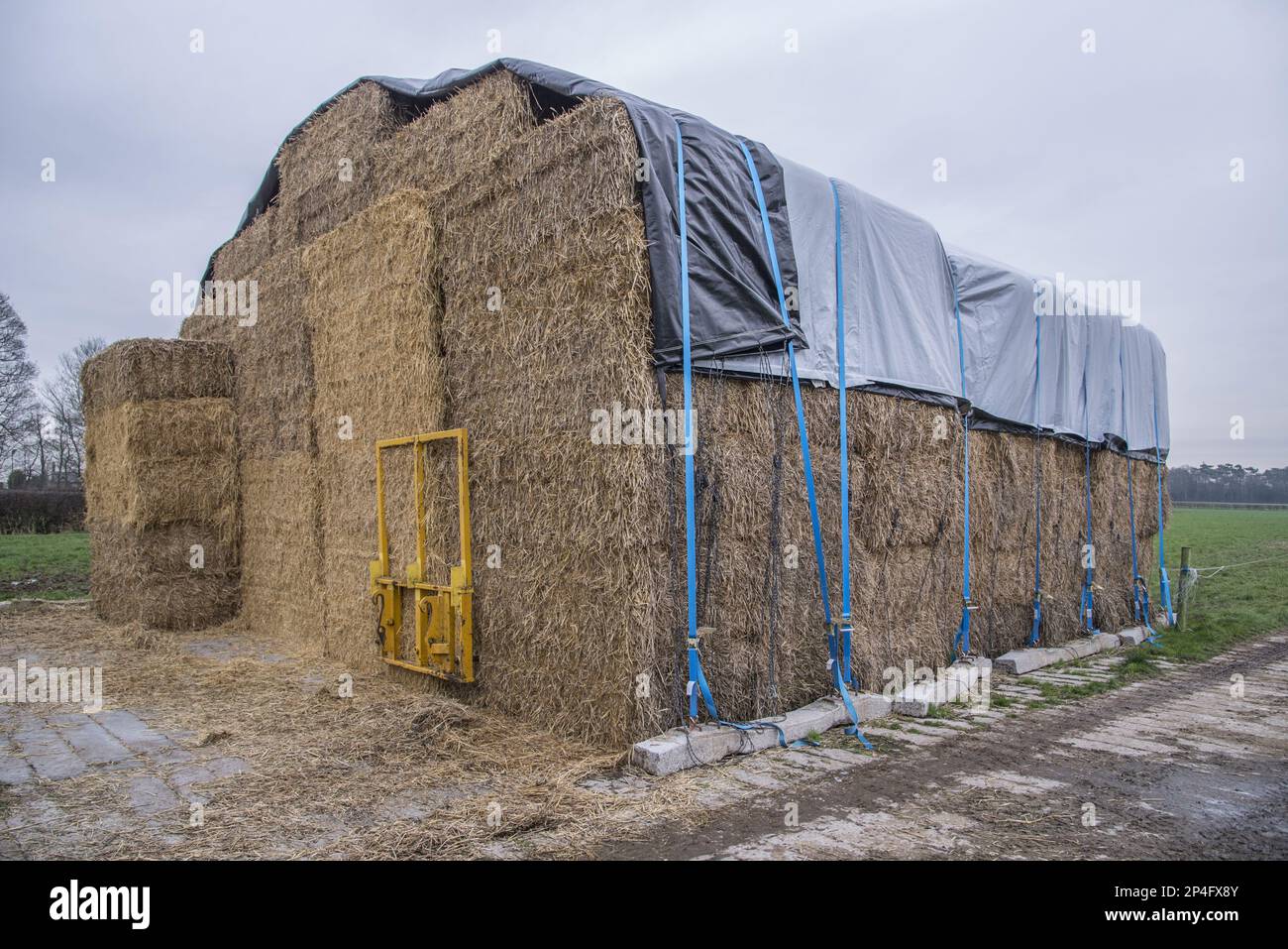 Pile de paille couverte de grosses balles, Cheshire, Angleterre, Royaume-Uni Banque D'Images