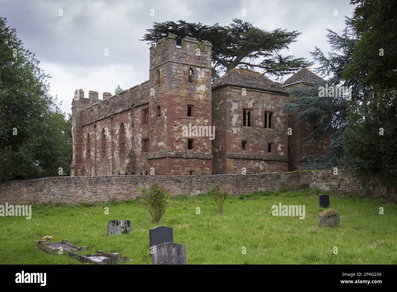 Ruines fortifiées d'un manoir datant de 13th ans, château d'Acton Burnell, Acton Burnell, Shropshire, Angleterre, Royaume-Uni Banque D'Images