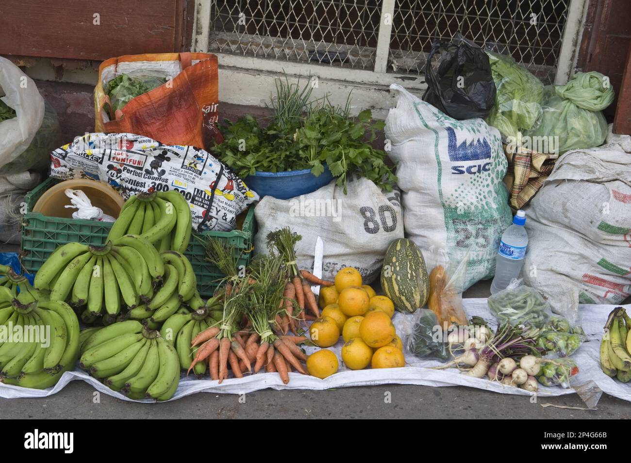 Fruits et légumes en vente sur le marché de la rue, Soufrière, Sainte-Lucie, Îles du vent, Petites Antilles Banque D'Images