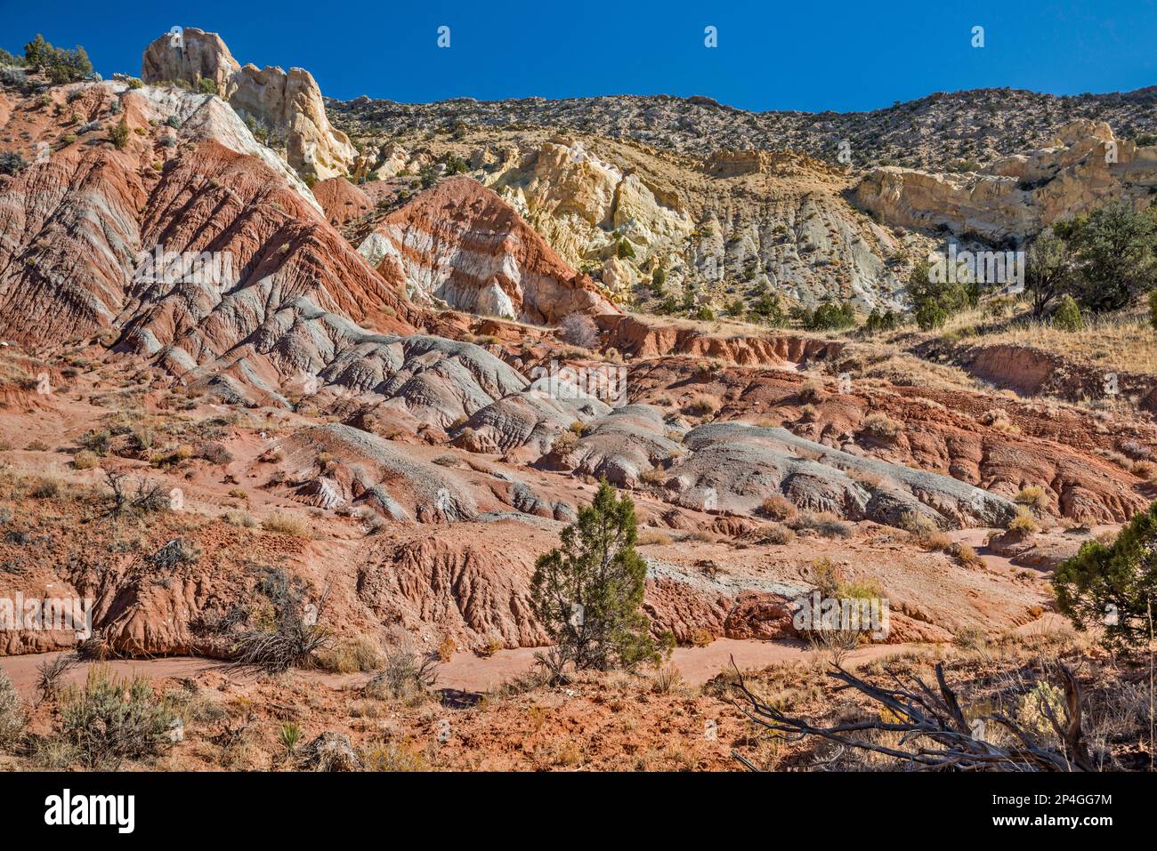 Candyland rocks, Cottonwood Canyon, The Cockscomb in distance, Grand Staircase Escalante National Monument, Utah, États-Unis Banque D'Images