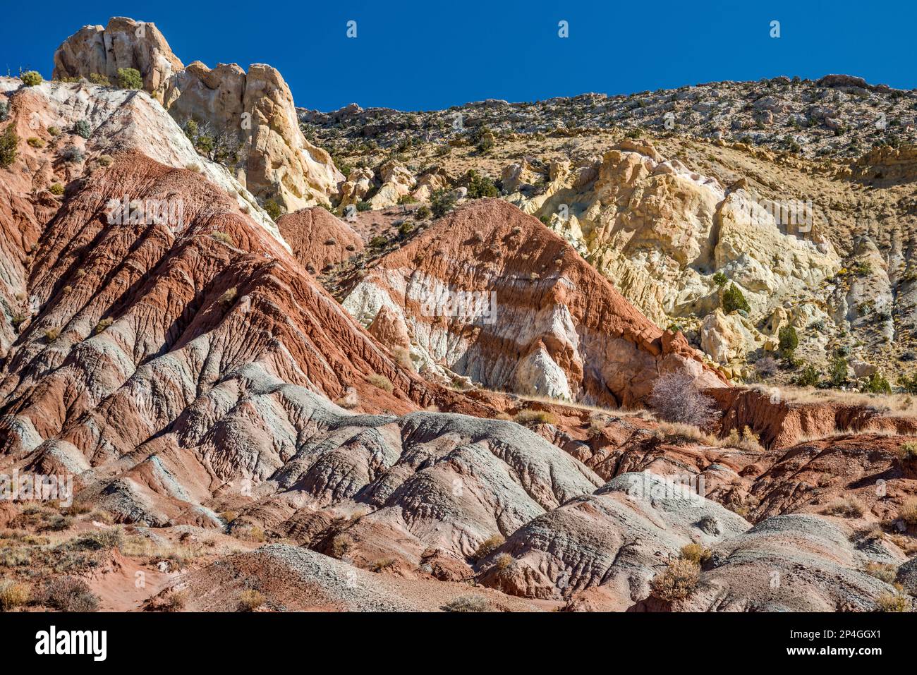 Candyland rocks, Cottonwood Canyon, The Cockscomb in distance, Grand Staircase Escalante National Monument, Utah, États-Unis Banque D'Images