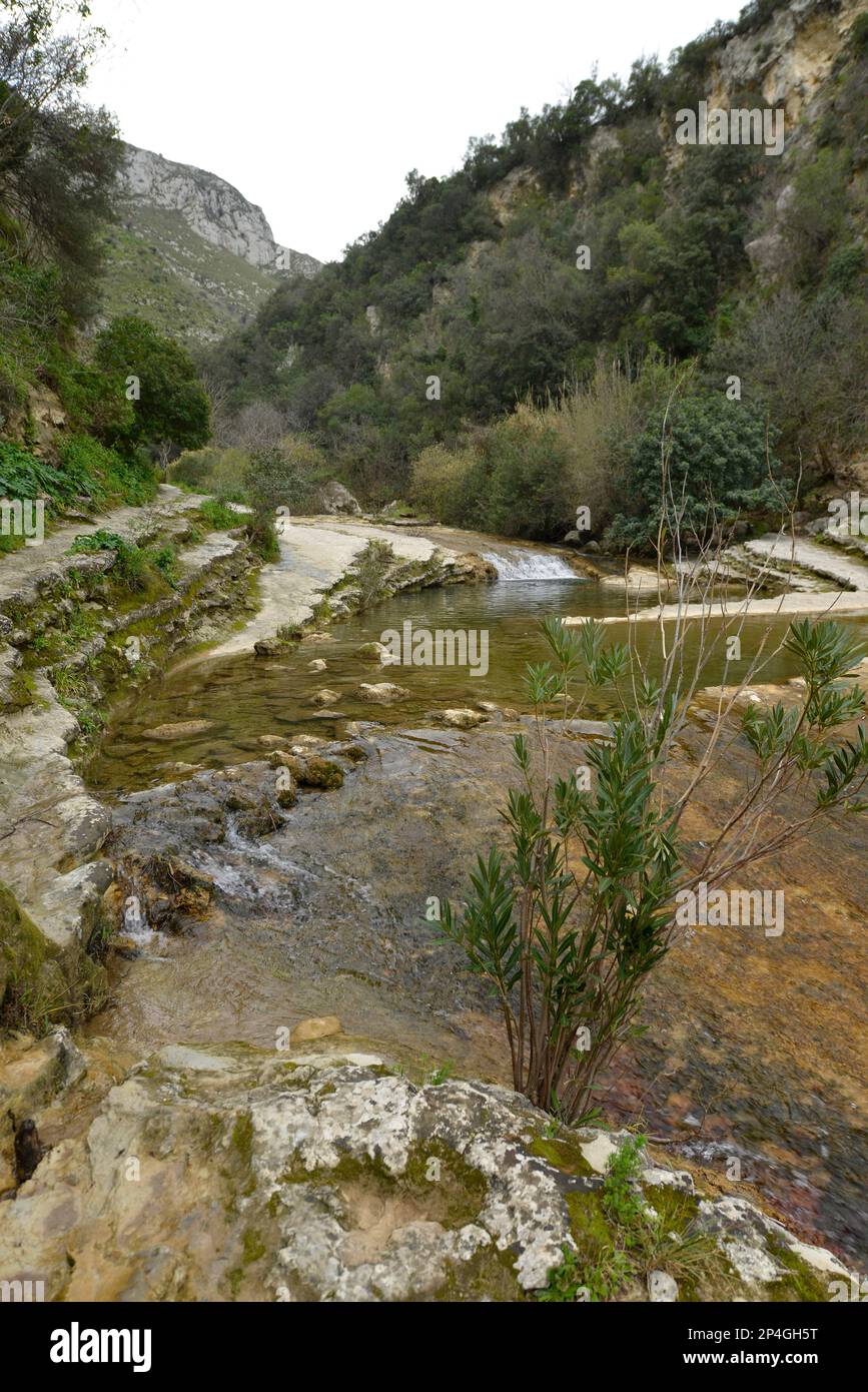 Étang, rivière, gorge, Cavagrande del Cassibile, Sicile, Italie Banque D'Images