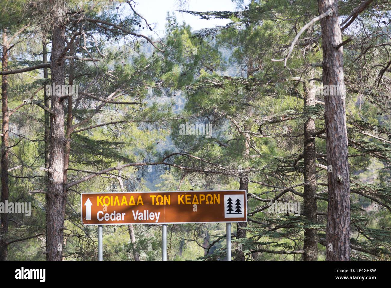 Chypre, Troodos montagnes, Cedar Valley panneau touristique. Banque D'Images