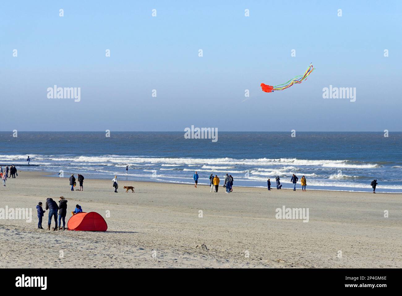 Vue sur North Beach avec des marcheurs de plage, cerf-volant coloré dans le ciel bleu, Mer du Nord avec vagues, Norderney, îles de la Frise orientale, Lower Banque D'Images