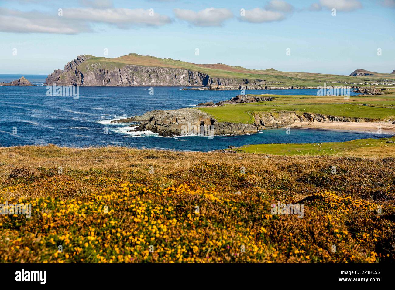 Eau et herbe parmi les falaises en Irlande Banque D'Images