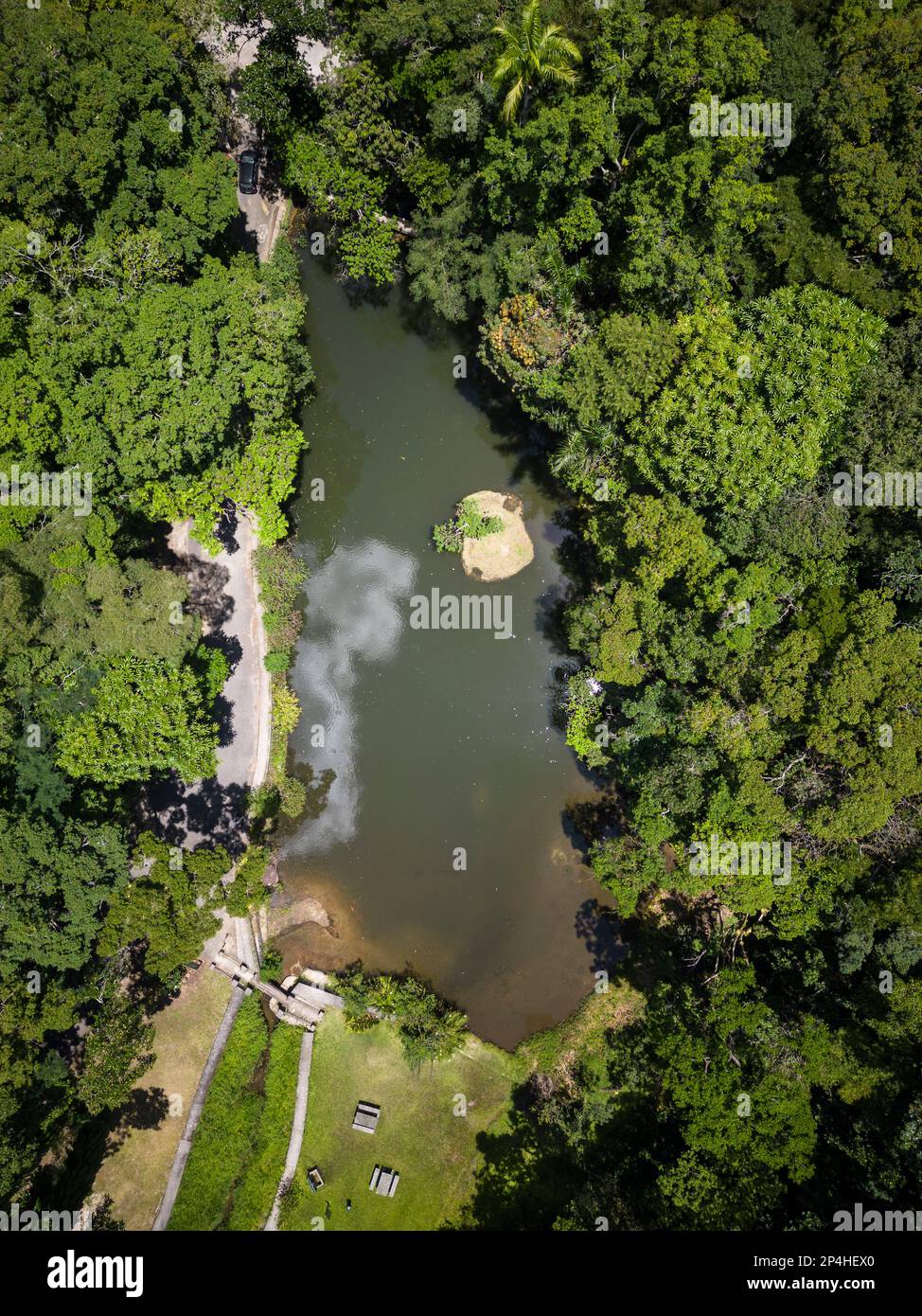 Belle vue aérienne sur la forêt tropicale verte de l'atlantique et le lac Banque D'Images