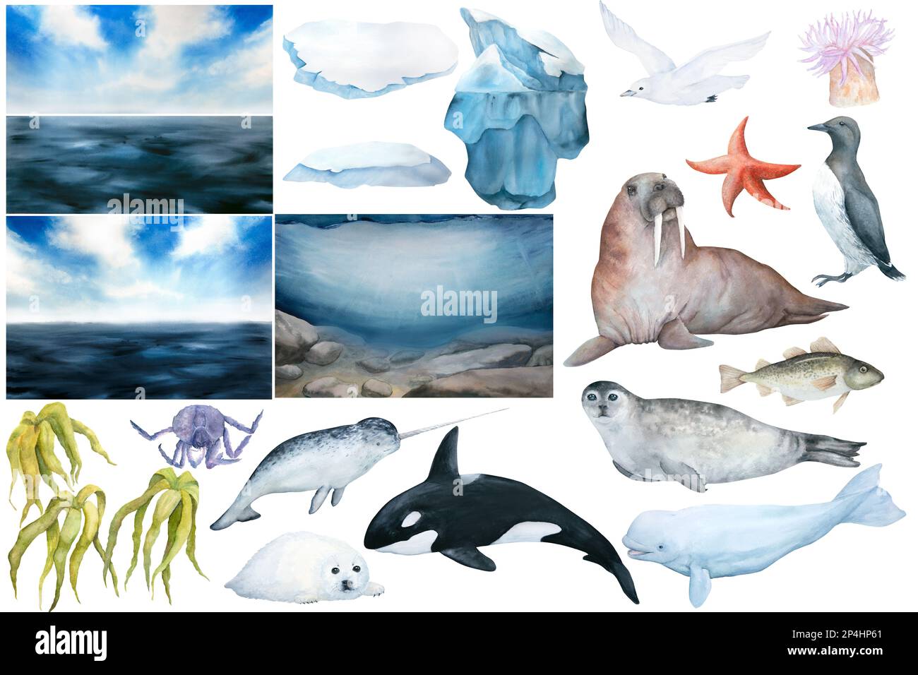 jeu d'illustrations aquarelle. Paysage de la mer du Nord et monde sous-marin, ciel bleu, iceberg, floes de glace, animaux, poisson, pays de galles isolé sur fond blanc Banque D'Images