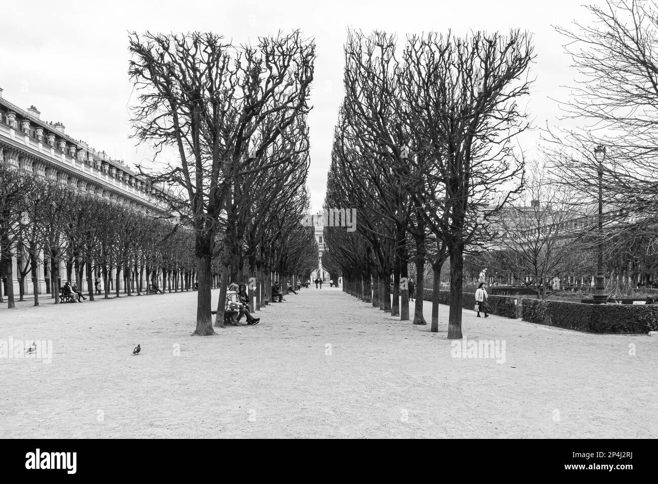 Photo en noir et blanc des personnes assises dans les jardins du Palais Royal dans le 1st arrondissement de Paris. Banque D'Images