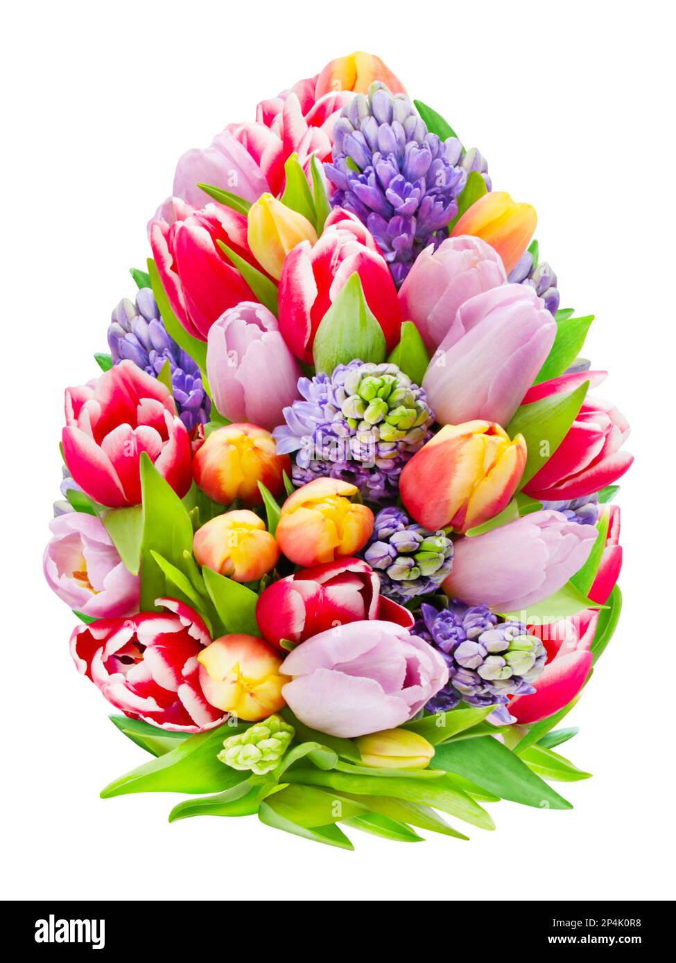 Décoration avec tulipes et jacinthes isolées sur fond blanc Banque D'Images