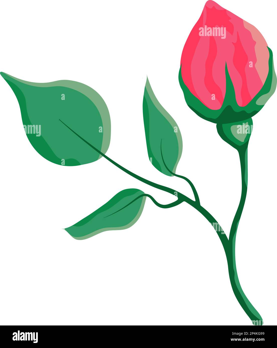 Fleurs roses rouges isolées avec feuilles élément de conception dessin de style plat sur fond transparent Illustration de Vecteur
