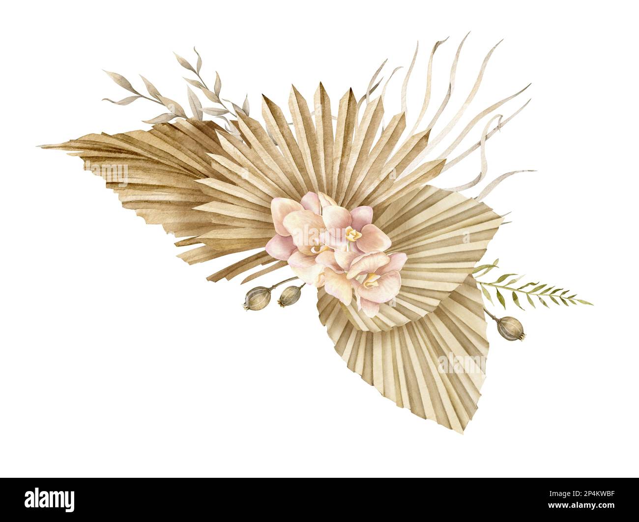 Fleurs séchées de style boho. Illustration aquarelle dessinée à la main sur un arrière-plan isolé pour les cartes de vœux ou les invitations de mariage. Bouquet crémeux bohémien avec feuilles de palmier sèches dans d orchidées rose pâle. Banque D'Images