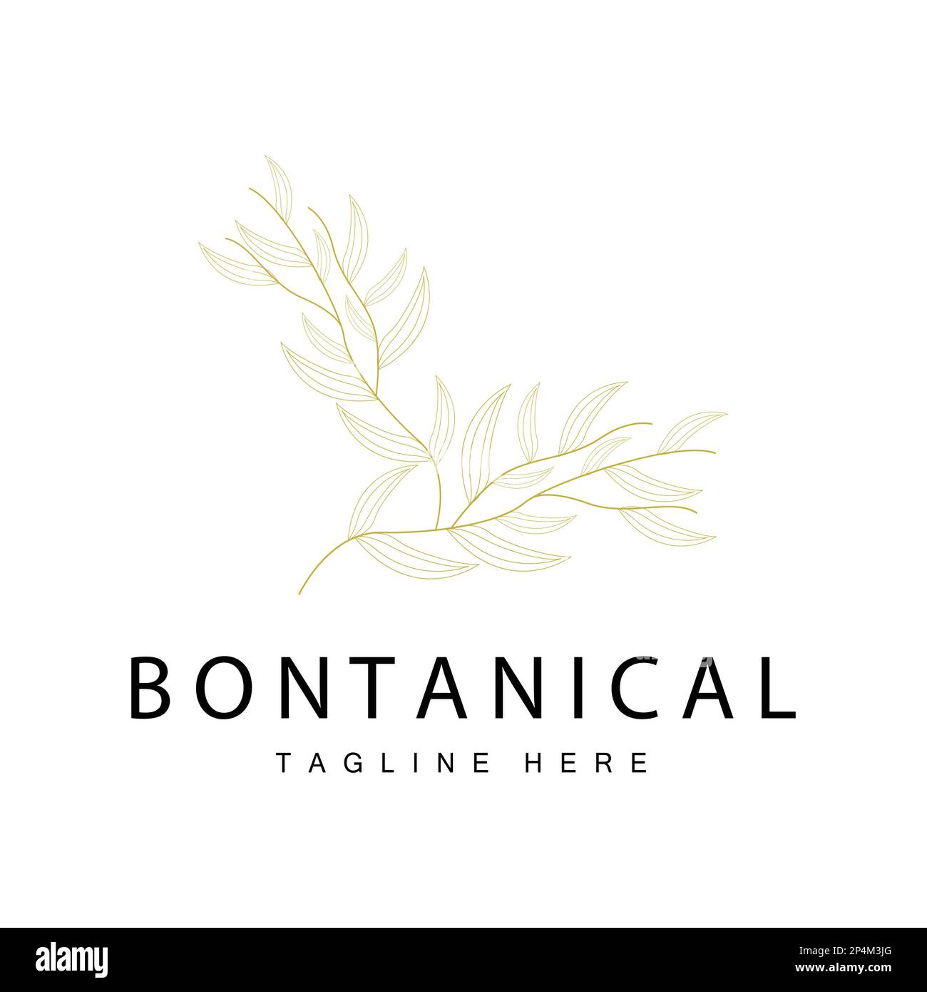 Logo botanique, nature Plant Design, Fleur Plant Icon Vector avec Line Model Illustration de Vecteur