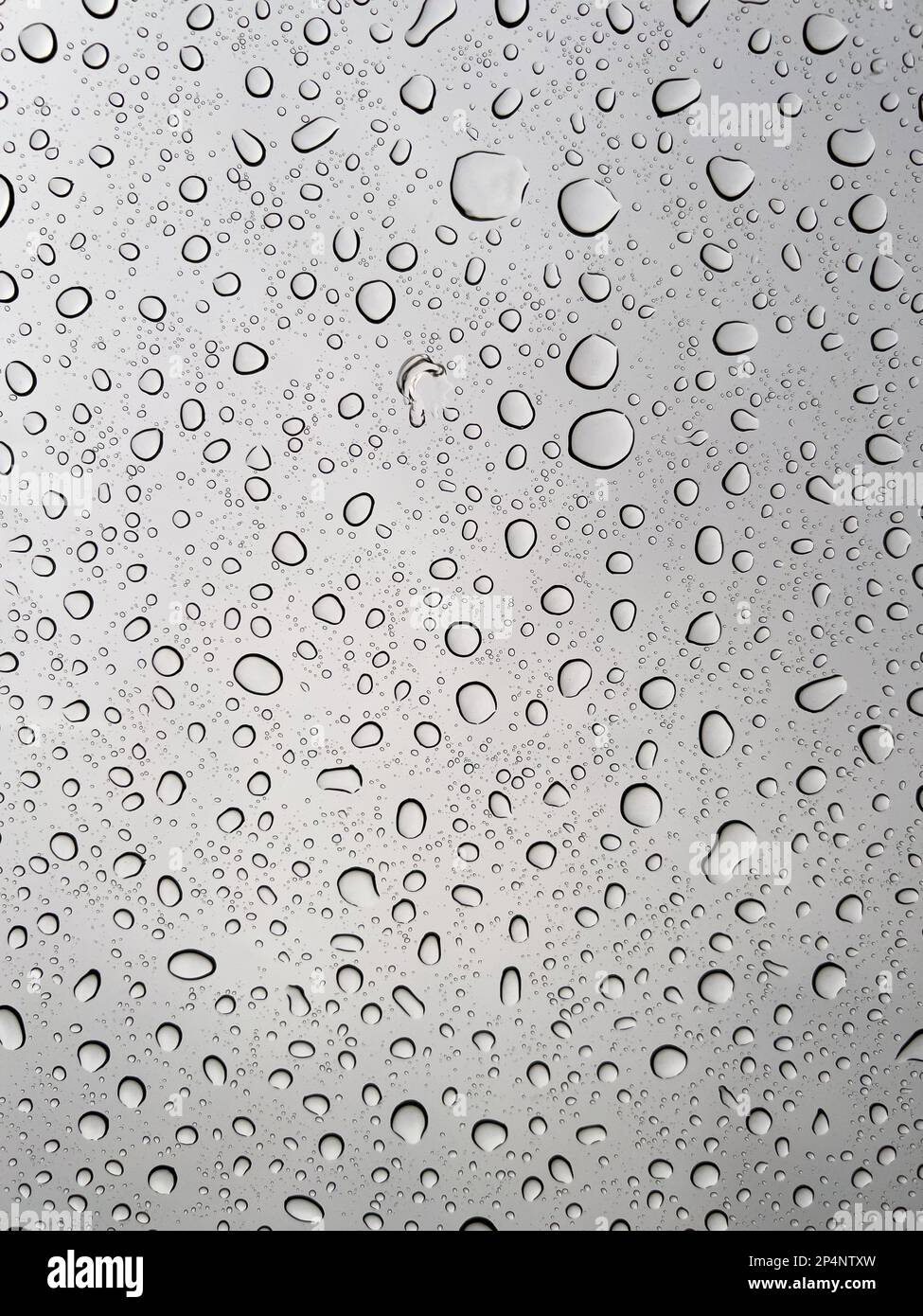 pluie ou gouttelettes d'eau sur le verre Banque D'Images
