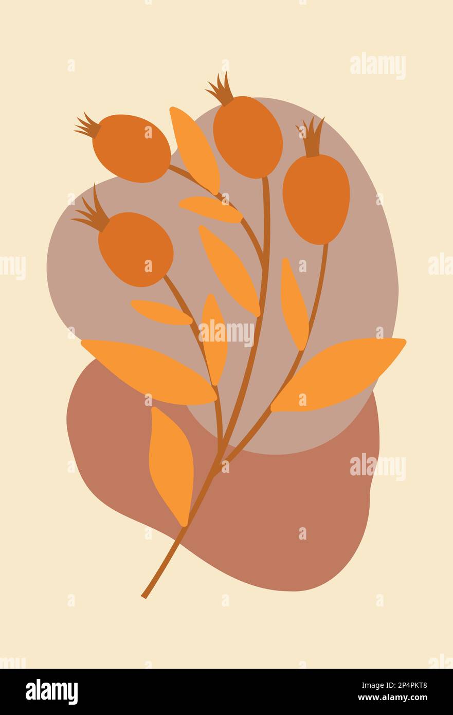 Ensemble de fleurs et de feuilles Banque D'Images