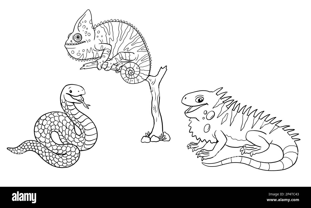 Iguana mignon, caméléon et serpent à colorer. Modèle pour un livre de coloriage avec des animaux amusants. Page de coloriage pour enfants. Banque D'Images